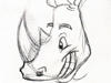 Rhino Expressions